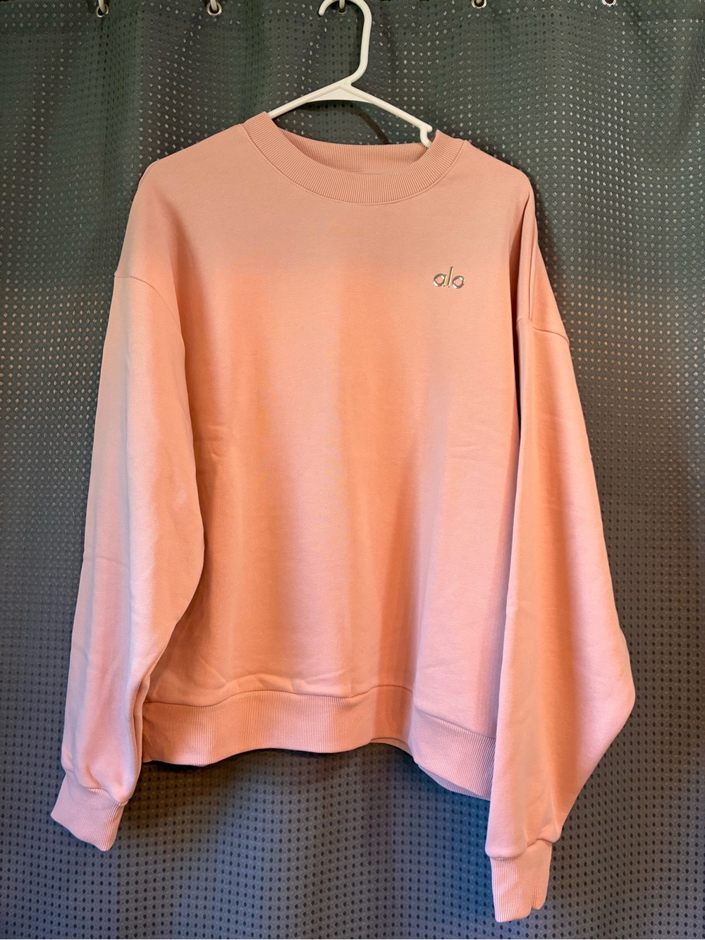 ALO Yoga Cozy Crewneck Sweatshirt - Pink Quartz - Picture 2 of 6